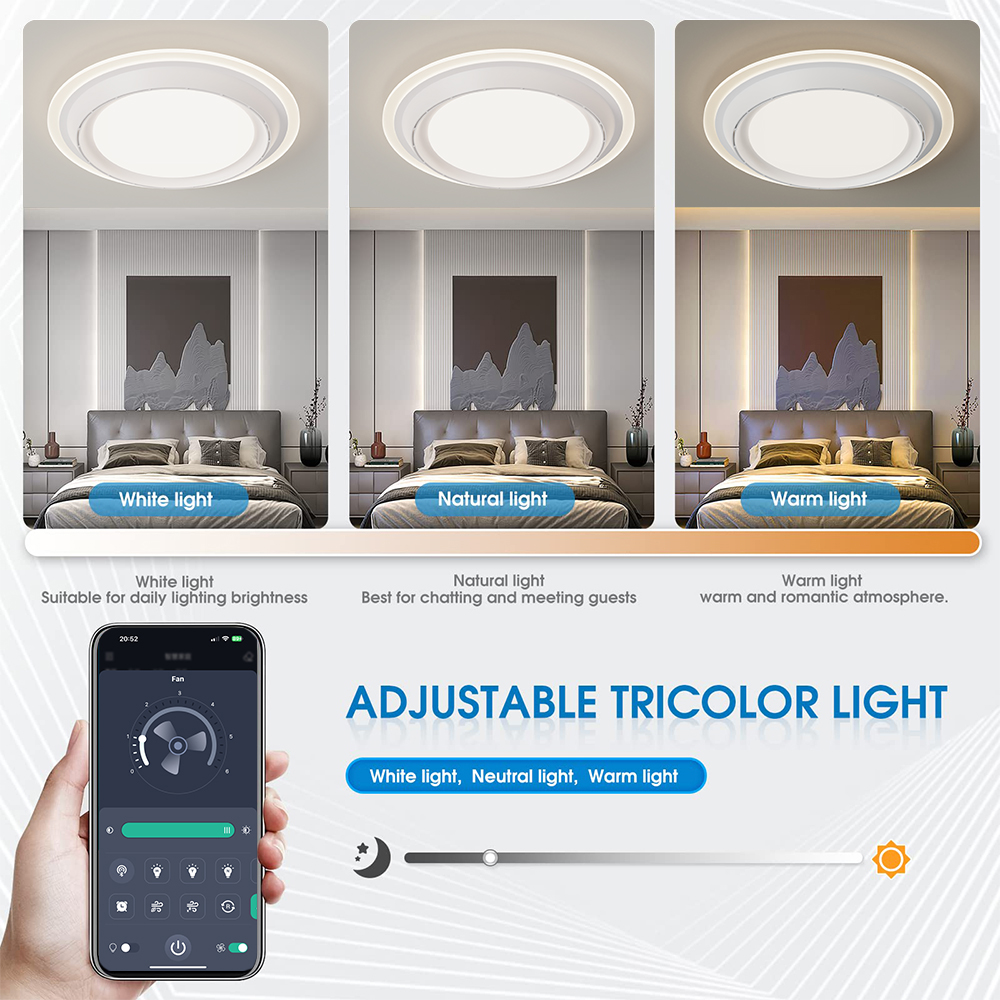 LED Ceiling Fan Lamp Home Ligh - Decor Lighting Fixtures のレビューと価格