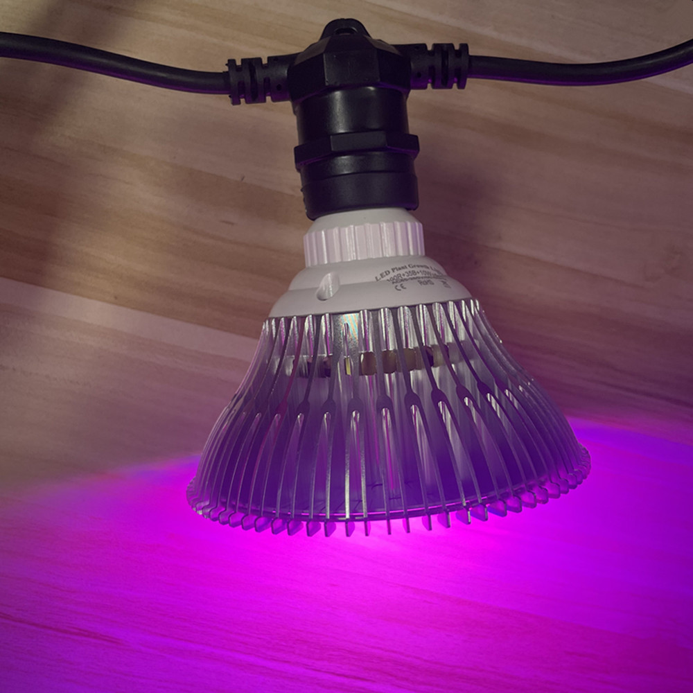 10M Cable LED String Commercia - Outdoor Lighting Wedding Decor のレビューと価格