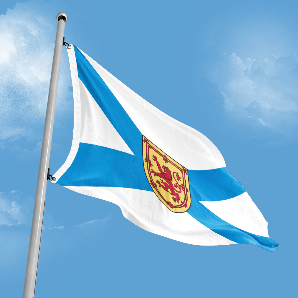 Canada Flag of Nova Scotia 3ft - Nova Decor & Lighting Juletrelys のレビューと価格