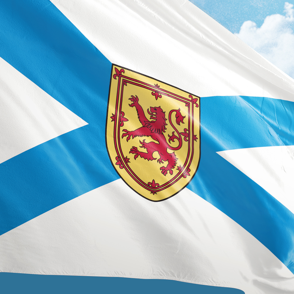 Canada Flag of Nova Scotia 3ft - Nova Decor & Lighting Juletrelys のレビューと価格