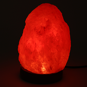 Organic Material Himalayan Sal - Himalayan Salt Lamp のレビューと価格