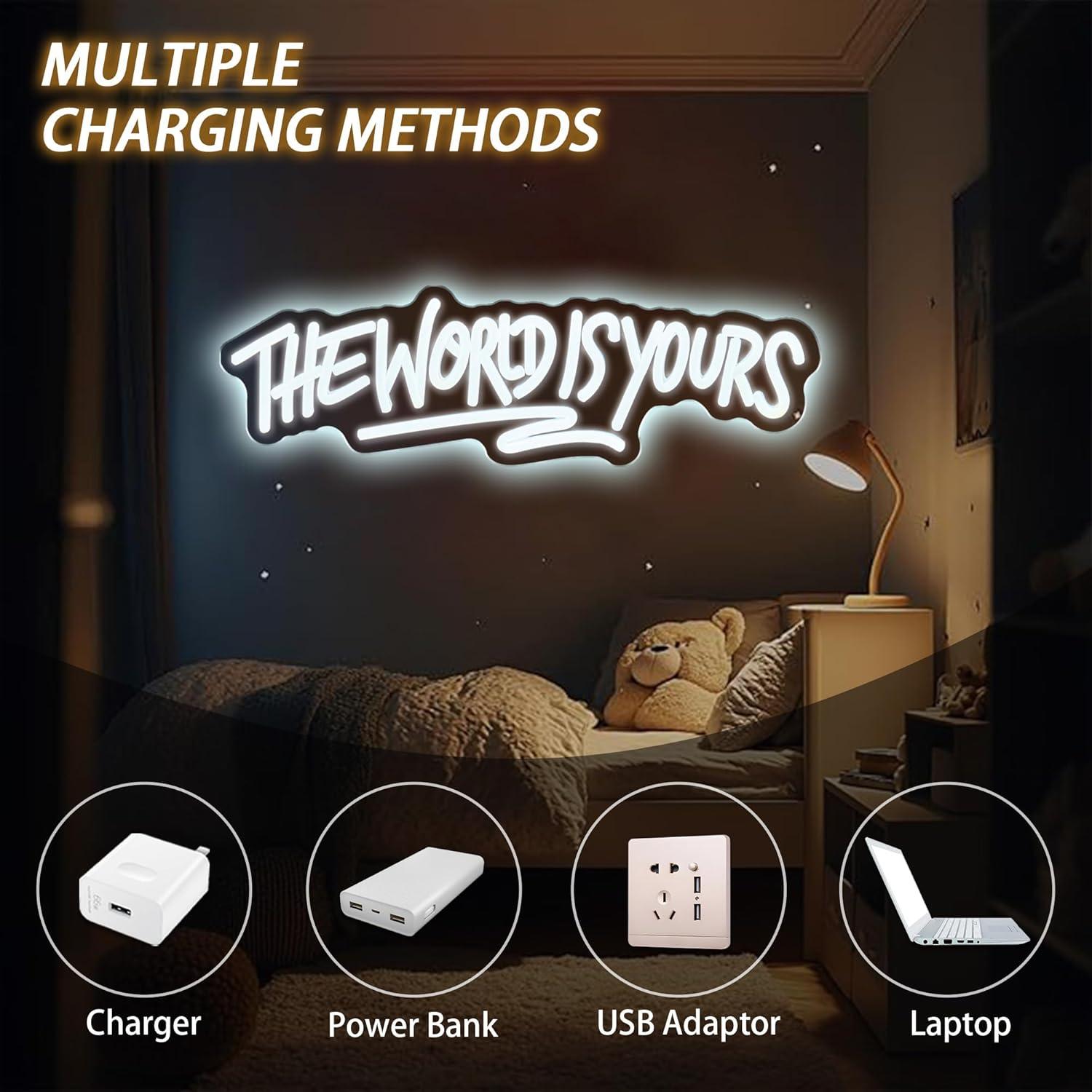 The World is Yours Neon Sign U - Wedding Lighting And Decor のレビューと価格