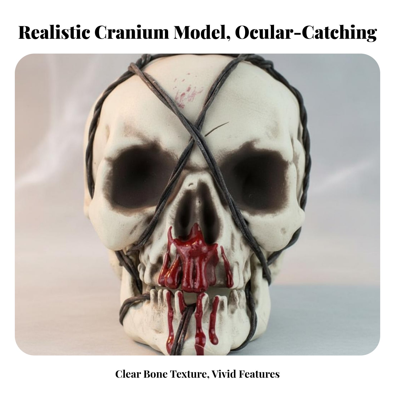 Realistic Skull Model Horror T - Lighting Decor のレビューと価格