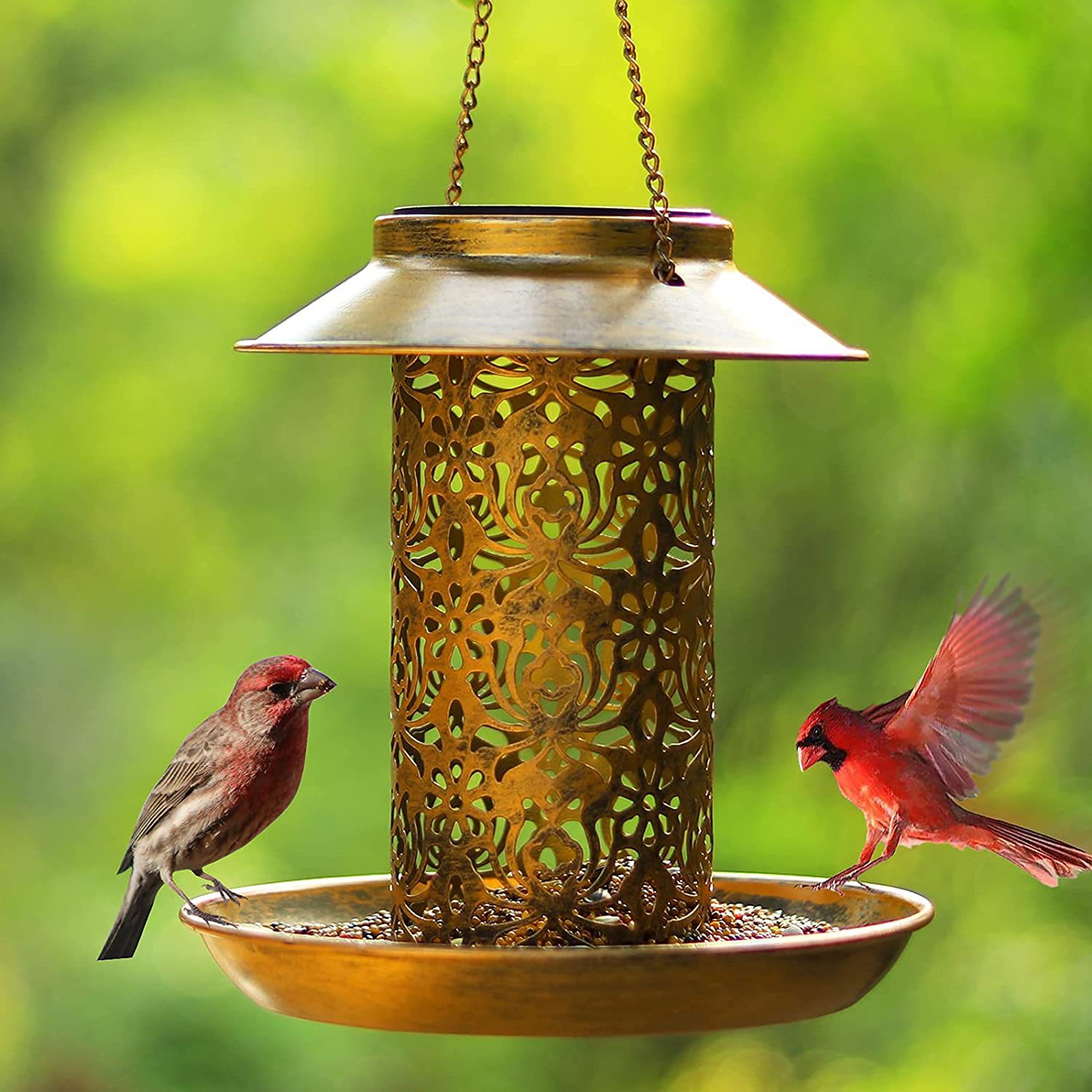 Hanging Bird House Metal Outdo - Outdoor Lighting Decor Ideas のレビューと価格